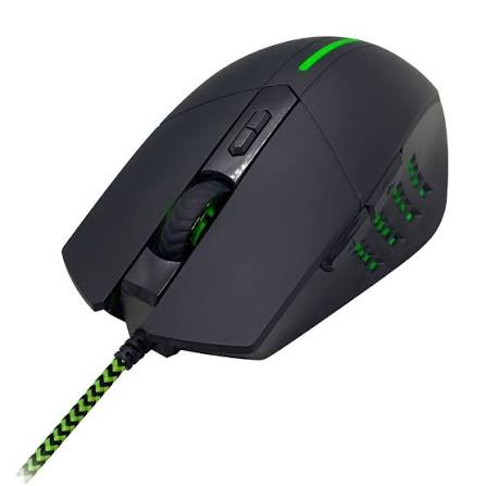 MOUSE